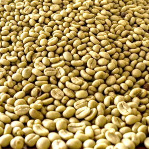 Green Coffee Beans