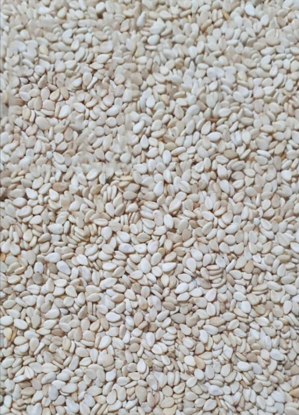 Sesame seed, GRADE 1